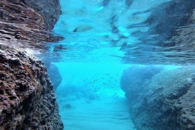 2 hours Elafiti Islands Private Tour by Barracuda 545 - Who should book this Koločep boat trip