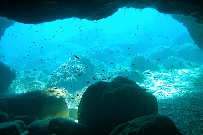 4h / 6h / 8h Elaphite Islands Tour with 7.5m/24FT SunDeck Boat - Sipan and the Skocibuha castle visit