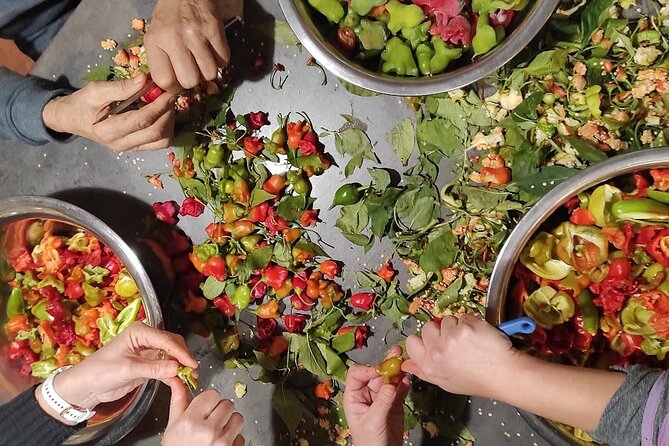 Authentic Garden to Table Cooking Class in Dubrovnik Countryside - Goat milking and other farm tasks