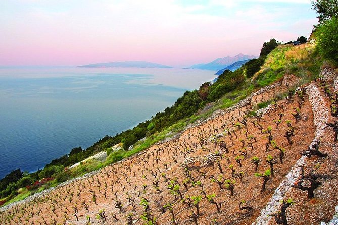 Classic Tour with Wine Tastings from Dubrovnik - Why Peljesac makes a good day trip from Dubrovnik