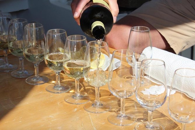 Classic Tour with Wine Tastings from Dubrovnik - Who will enjoy this outing most?