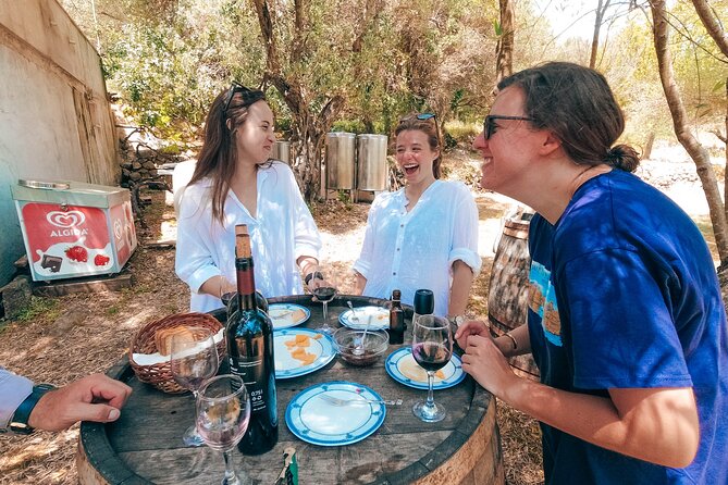 Coastal Vineyards: A Dream Wine Tour to Elaphiti Islands - Key points to know before booking