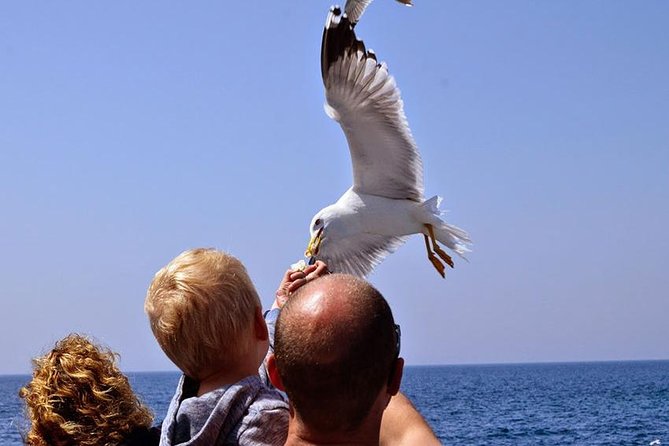 Day Cruise in the Elafiti Islands from Dubrovnik - Lunch, wine, and the value of an all-day outing