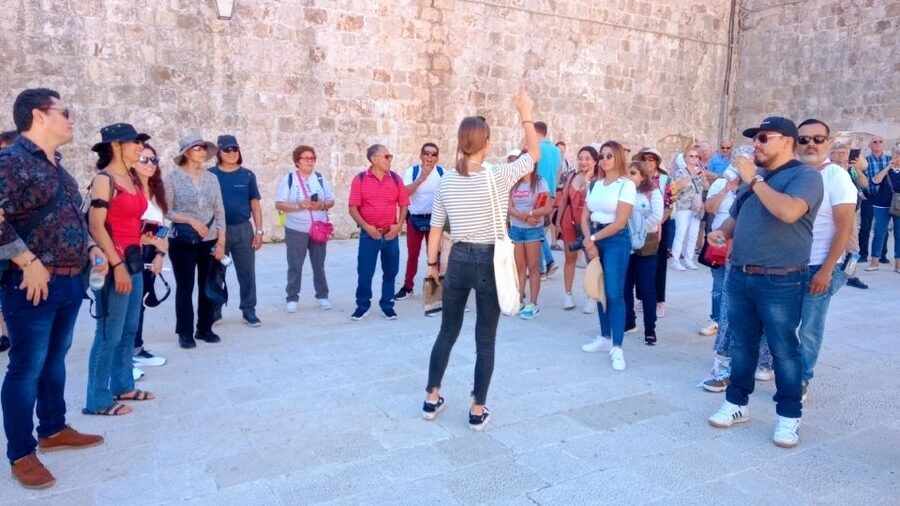 Dubrovnik: 1.5-Hour Guided Old Town Walking Tour - Meeting at Pile Gate and the Amerling Fountain