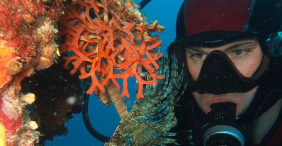 Dubrovnik: 1-Day Diving Package - Key points to know before booking