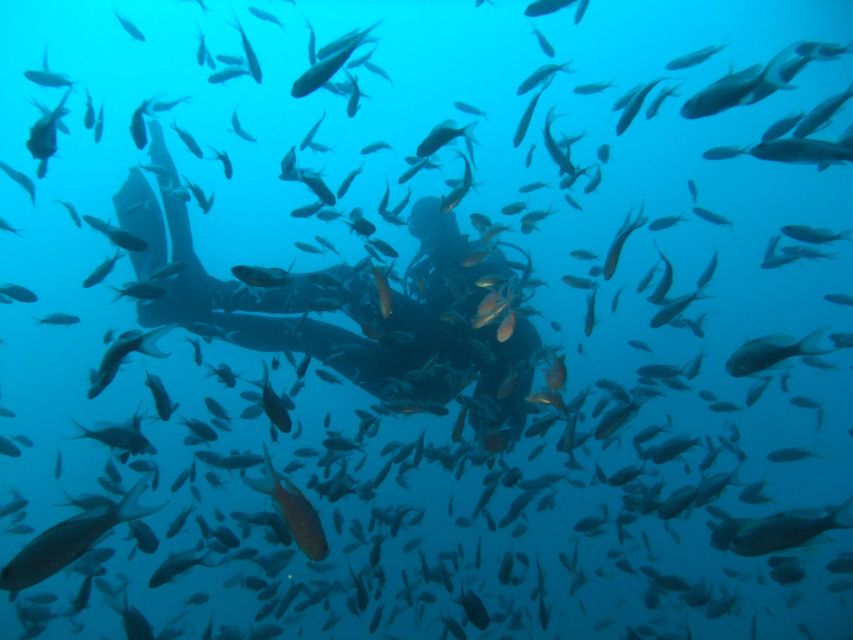 Dubrovnik: 1-Day Diving Package - Why Dubrovnik works so well for scuba