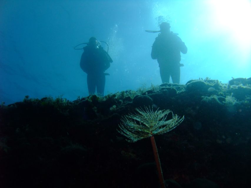 Dubrovnik: 1-Day Diving Package - Two sessions, with a proper pause between them