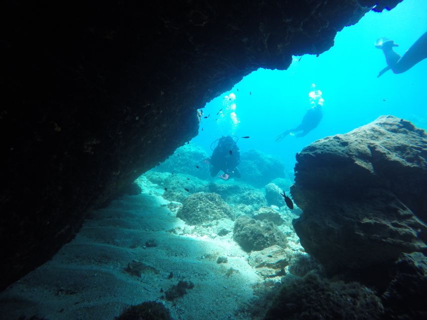 Dubrovnik: 1-Day Diving Package - Marine life and visibility