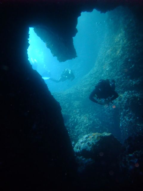 Dubrovnik: 1-Day Diving Package - Who will enjoy this day most?