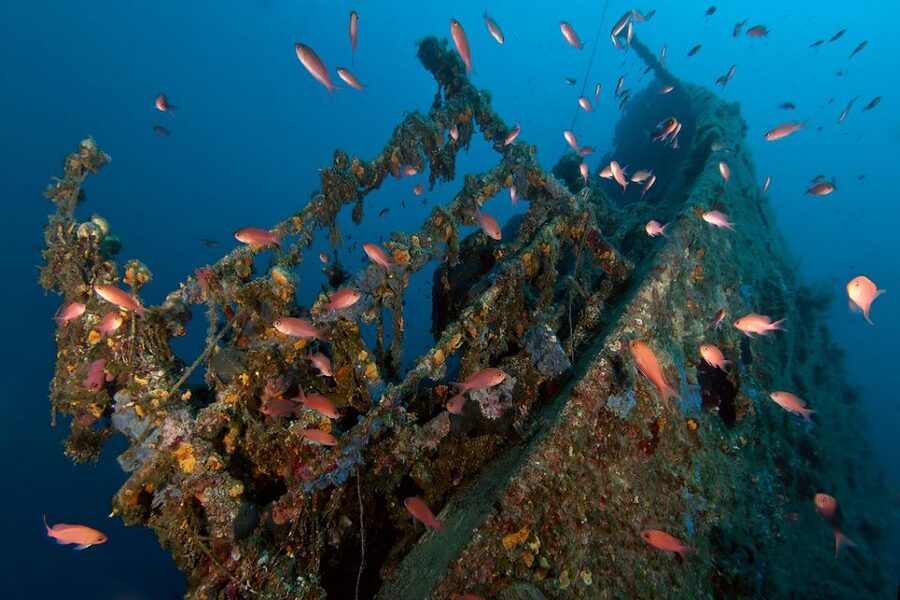 Dubrovnik: 1-Day Diving Package - The morning starts at Dubrovnik Palace