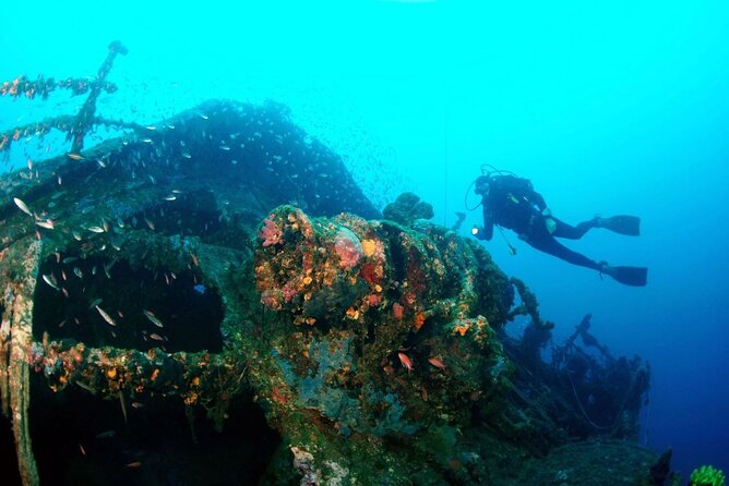 Dubrovnik 1 Dive for Certified Divers - What the 2.5-hour Dubrovnik session is really like