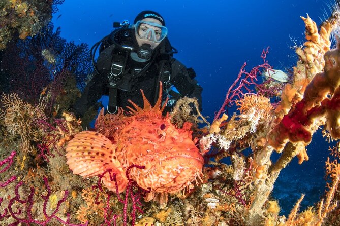 Dubrovnik 1 Dive for Certified Divers - Who will enjoy this most?