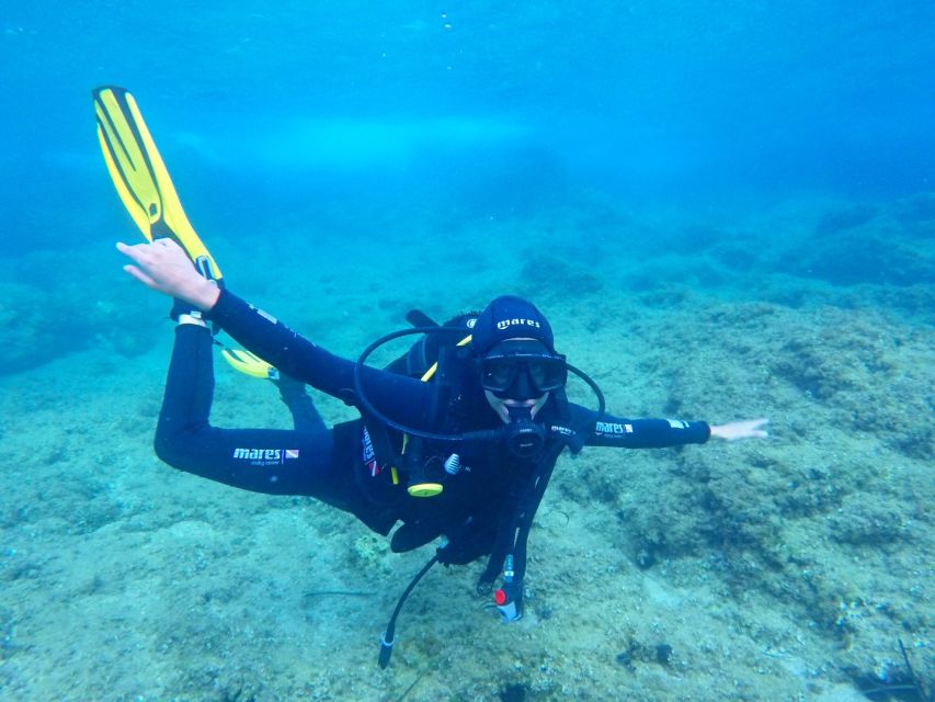 Dubrovnik 2-Hour Uncertified Divers Introductory Dive - Key points to know before booking