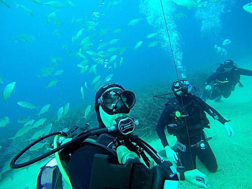 Dubrovnik 2-Hour Uncertified Divers Introductory Dive - The $117 price: good value for the right person