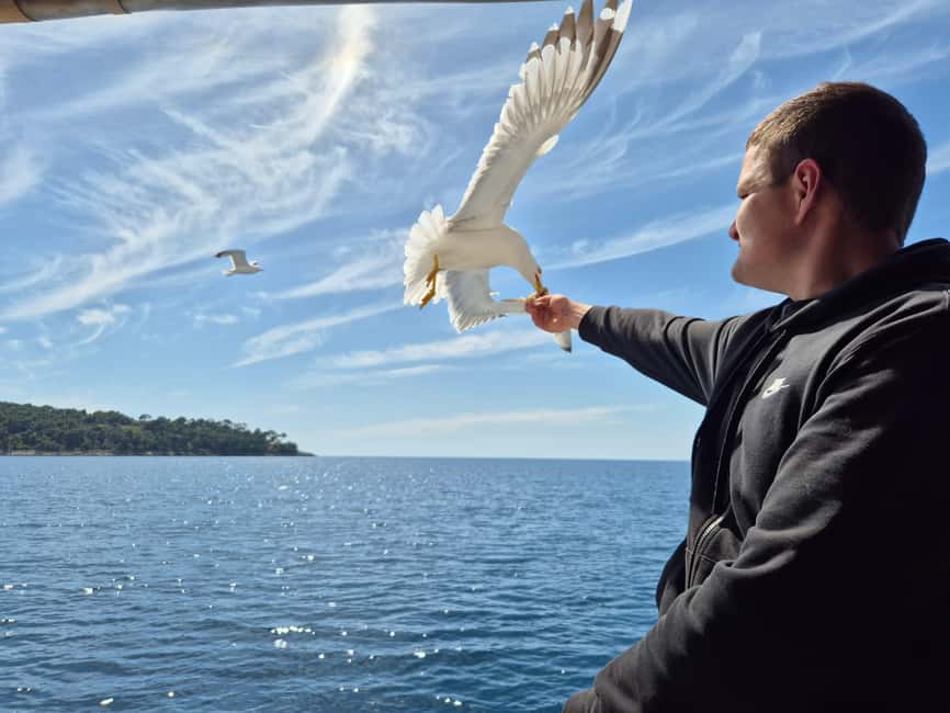 Dubrovnik: 3 Island Boat Tour with Lunch and Guide - Lopud: the longest island stop