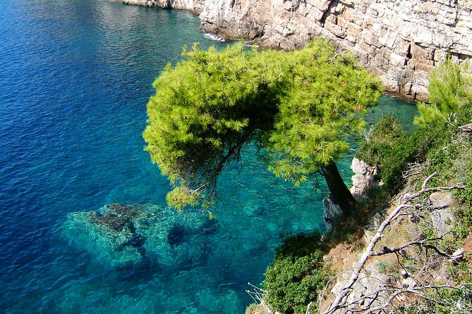 Dubrovnik: 3 Islands Boat Tour with Lunch & drinks(FR, ES, EN) - Lunch, drinks, and the onboard routine