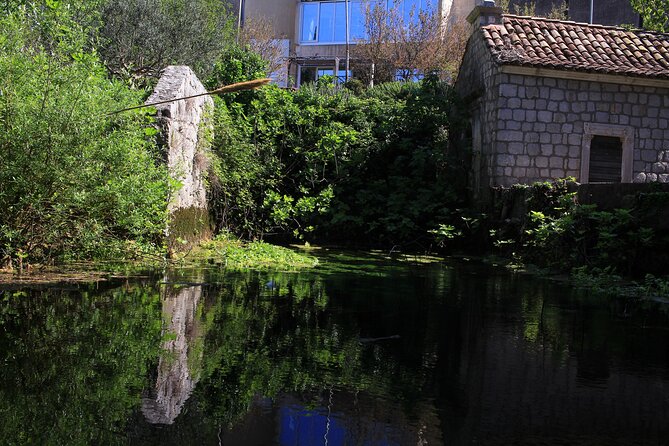 Dubrovnik: Best views Sightseeing Tour - The guide can shape the whole experience