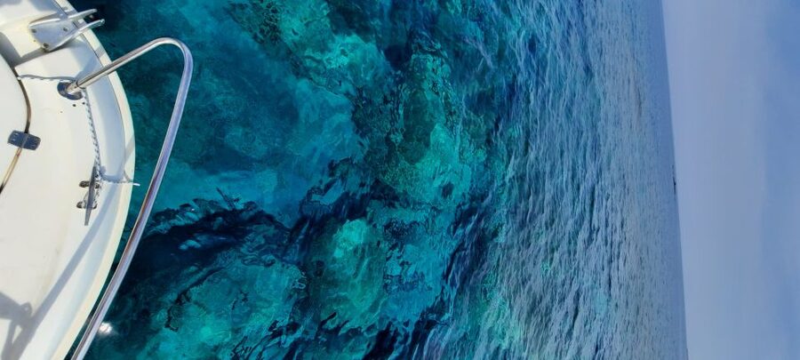 Dubrovnik: Blue Cave Tour by Speedboat - Why this four-hour trip works well