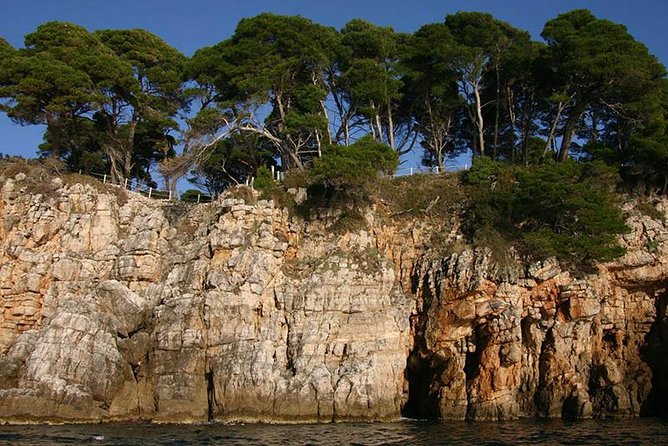 Dubrovnik Elafiti Islands Cruise with Lunch, Drinks and Pickup - Who will enjoy this cruise most?