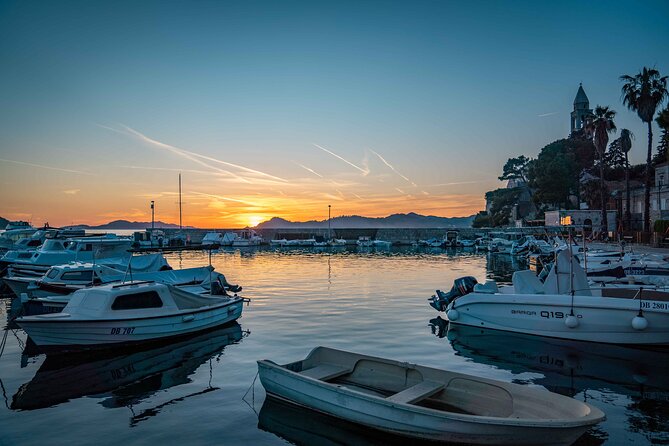 Dubrovnik: Elaphiti Islands 8 hours private tour with a speedboat - A good fit for families, friends, and flexible planners
