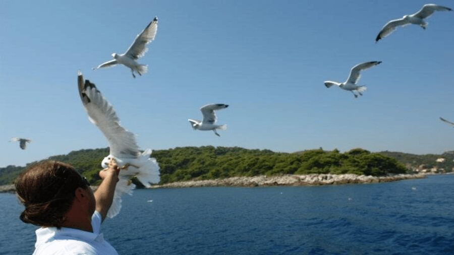 Dubrovnik: Elaphiti Islands Boat Cruise with Lunch & Drinks - The boat ride is part of the attraction