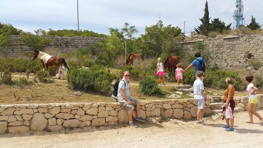 Dubrovnik: Game of Thrones Locations Driving Tour - Key points to know before you book