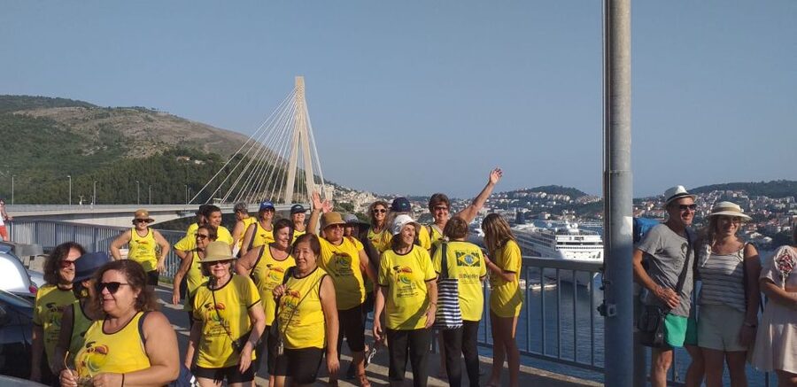 Dubrovnik: Guided Sightseeing Tour by Minivan - The road up Srđ and the best Dubrovnik views