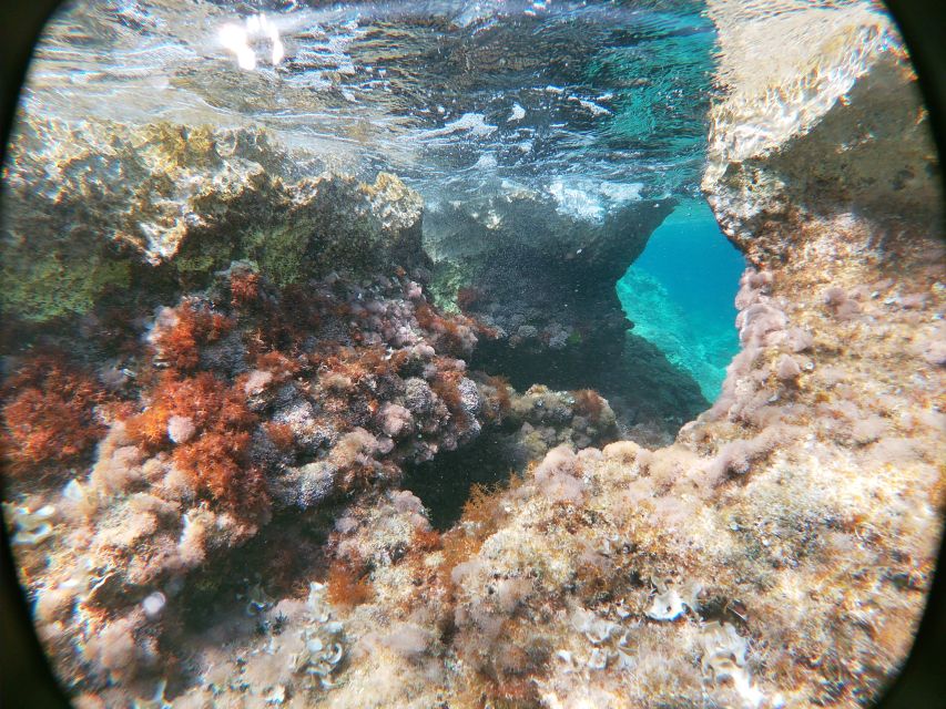 Dubrovnik: Half-Day Private Boat Trip to Elafiti Islands - Šunj Beach, Lopud’s sandy break