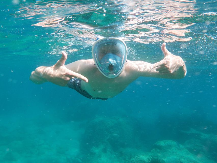 Dubrovnik: Half-Day Private Boat Trip to Elafiti Islands - Kolocep and the blue light of the Blue Cave