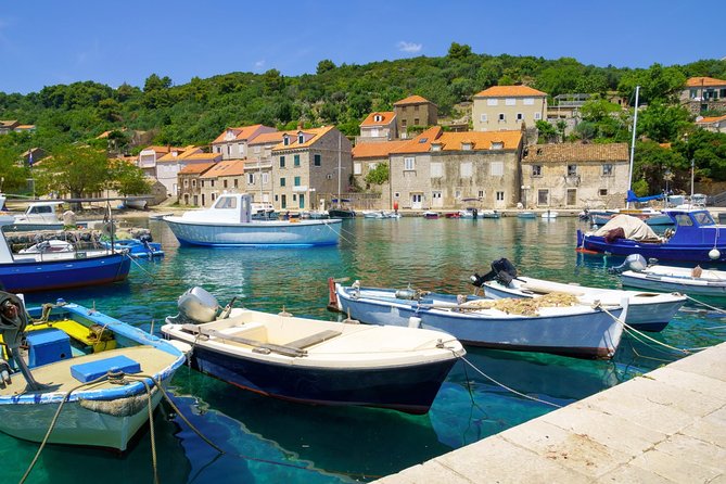 Dubrovnik Island-Hopping Cruise in the Elaphites with Lunch - Koločep: citrus gardens and a short first walk