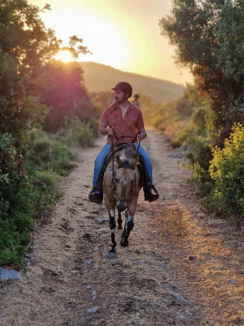 Dubrovnik Kojan Koral: Horseback Riding - A quiet ride beyond Dubrovnik