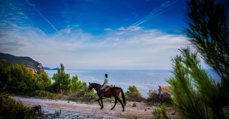 Dubrovnik Kojan Koral: Horseback Riding - From hotel pickup to the horse corral