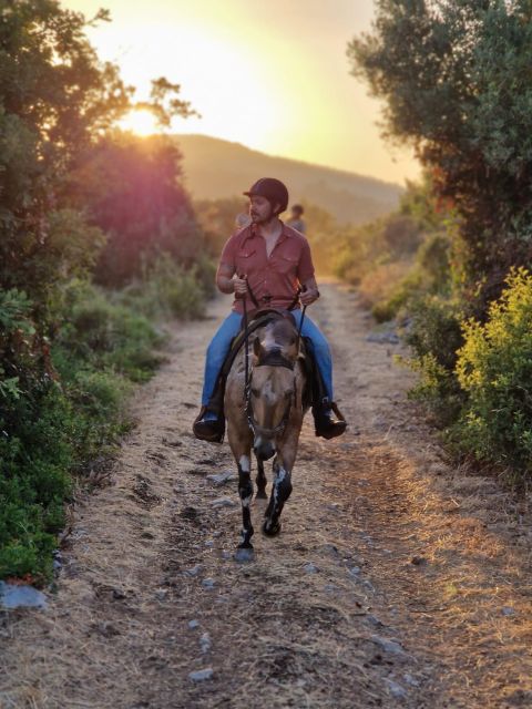 Dubrovnik Kojan Koral: Horseback Riding - Two hours through forest and coast
