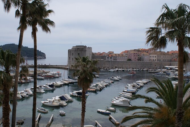 Dubrovnik Old City Private Tour - Stradun and Onofrio’s Fountain: the city’s central spine