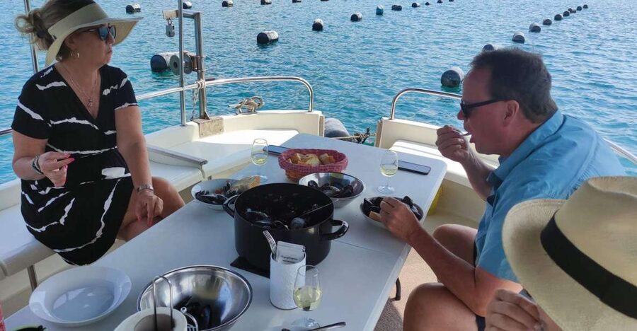 Dubrovnik: Oyster, Mussles, and Wine Tasting Tour in Ston - The drive from Dubrovnik to Ston
