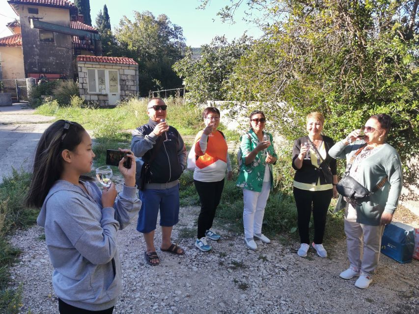 Dubrovnik: Panorama Tour with Free Time in the Old Town - Guide quality matters on this route