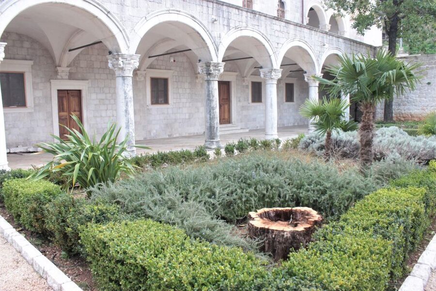 Dubrovnik: Private Cooking Experience with Wine Tasting - Wine tasting near Ston and Peljesac