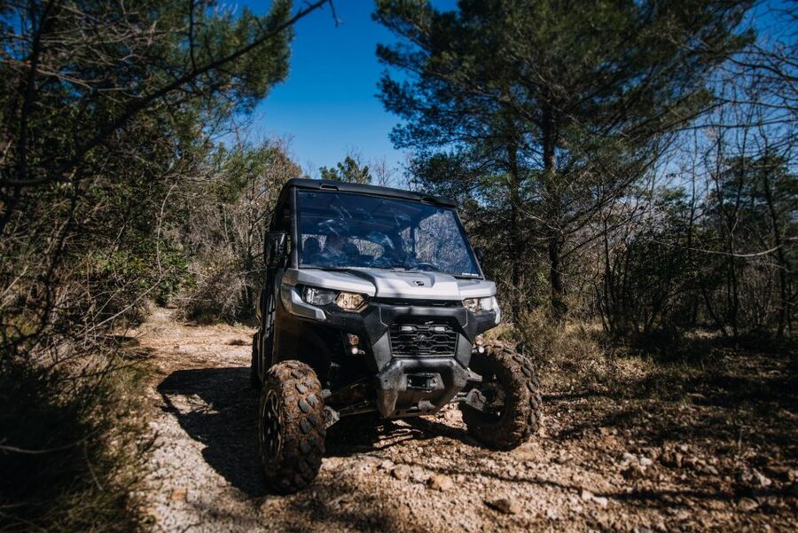 Dubrovnik: Private Panoramic Half-Day Buggy Tour with Brunch - Countryhouse Ano and the olive-oil tasting