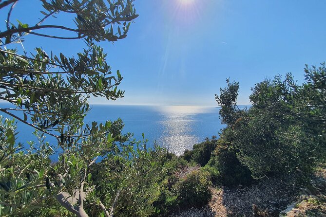 Dubrovnik Private Wine Tasting Tour to Peljesac Peninsula - Ston walls, oysters, and salt