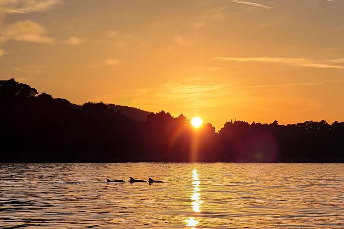 Dubrovnik Romantic Sunset Boat Tour - A private boat instead of a shared cruise