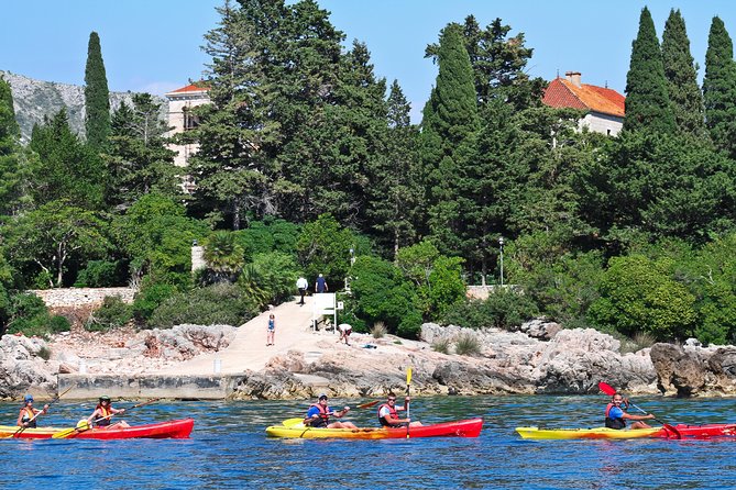 Dubrovnik: Sea Kayaking & Snorkeling Tour - The return paddle and the second look at the coast