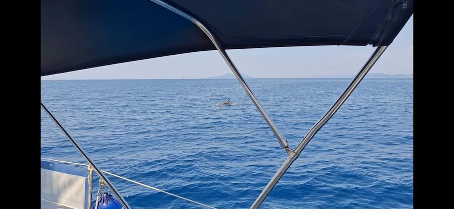 Dubrovnik yacht cruise-Elafity islands & Blue cave - Lopud lunch with time beside the water