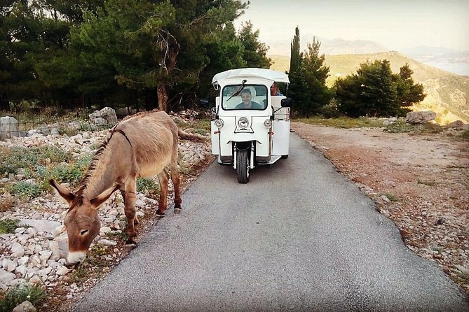 E-Tuk Tuk Tour in Dubrovnik - Why this tuk-tuk ride works as a first look at Dubrovnik