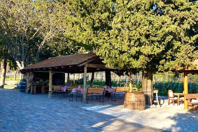 Flavours of Konavle: Wine, Food & Village Life Experience - Who will enjoy this Dubrovnik food and wine outing