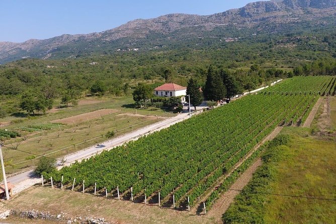 Flavours of Konavle: Wine, Food & Village Life Experience - A coastal ride through Župa Dubrovačka