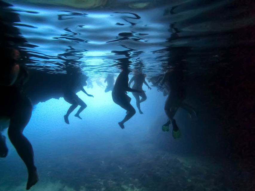 From Dubrovnik/Cavtat: Blue Cave, Sunj Beach Speed Boat Tour - Koločep’s Blue Cave and the first swim