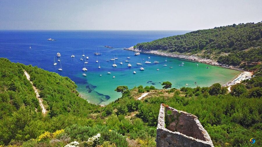 From Dubrovnik: Full-Day Private Boat Tour of Elafiti Island - Key points to know before you book
