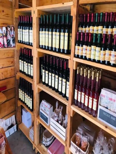 Half-Day Wine Tasting and Cavtat City Tour