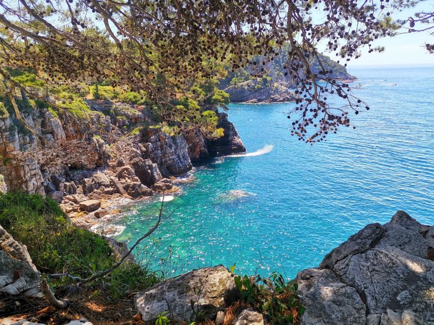 From Dubrovnik: Hiking & Swimming on Koločep Island Day Trip - Lunch, snacks, and the small fish restaurant option
