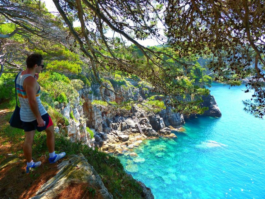 From Dubrovnik: Hiking & Swimming on Koločep Island Day Trip - How hard is the 8-kilometer hike?